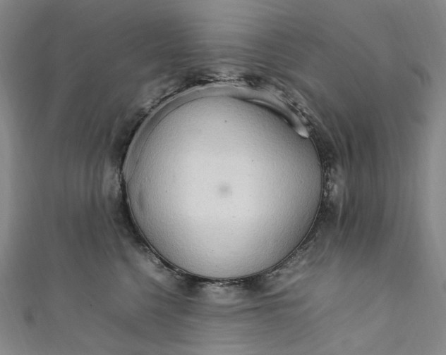 X0000111210568200907221153