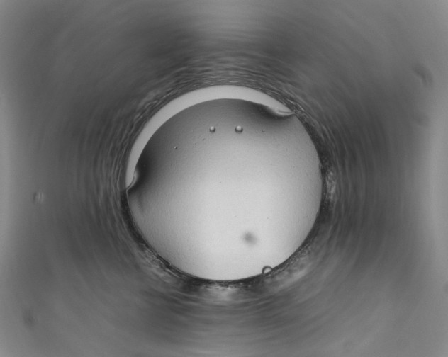 X0000111210570200907221153