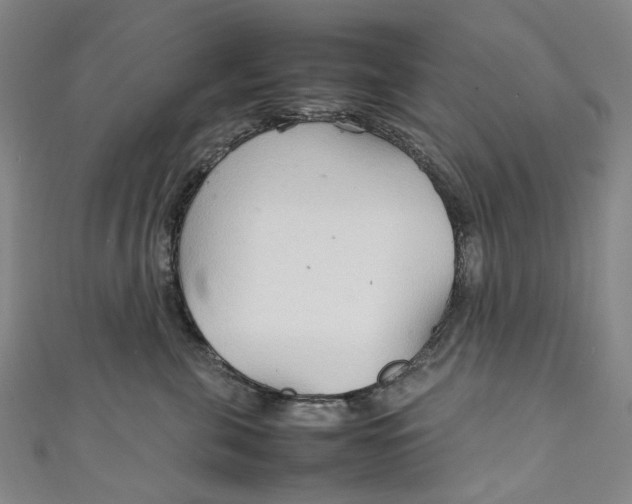 X0000111210571200907221153