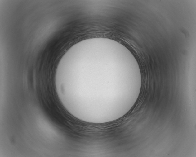 X0000111210572200907221153