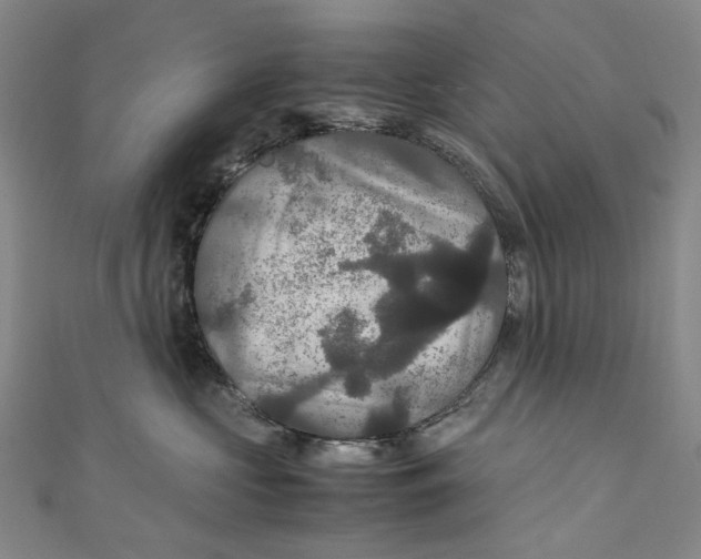 X0000111210573200907221153