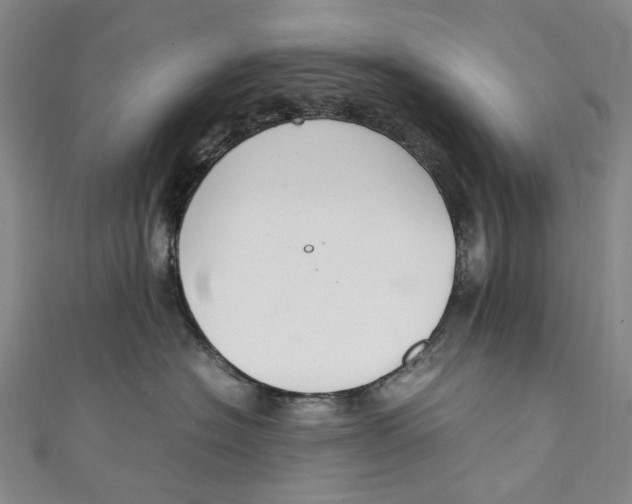 X0000111210574200907221153