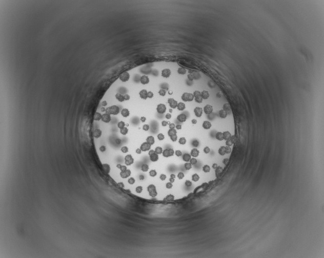 X0000111210575200907221153