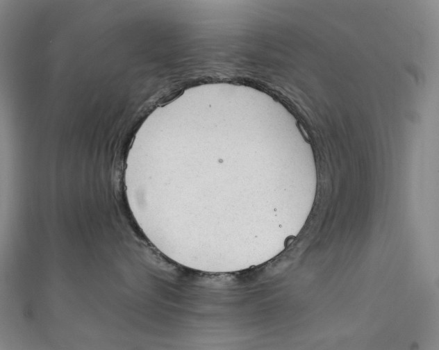 X0000111210576200907221153