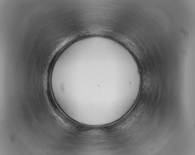 X0000111210578200907221153