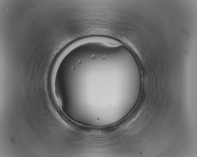 X0000111210581200907221153