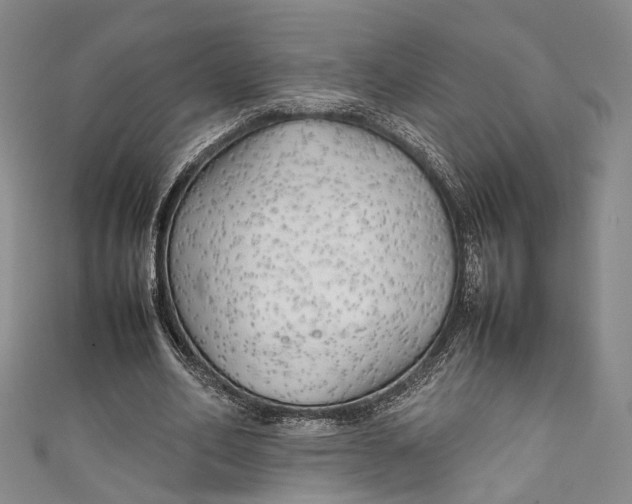 X0000111210582200907221153