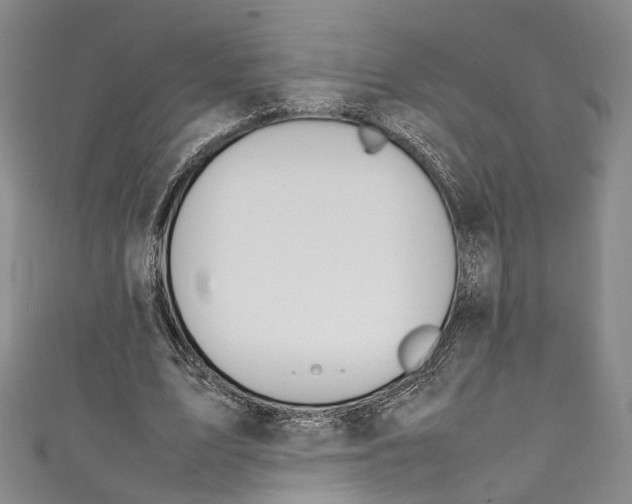 X0000111210583200907221153