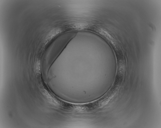 X0000111210585200907221153