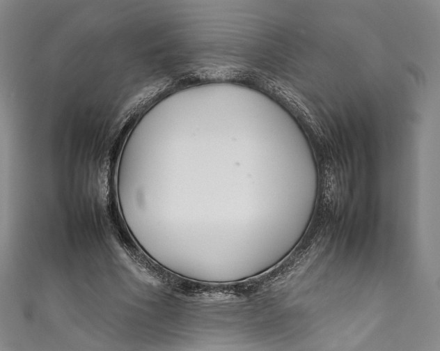 X0000111210586200907221153