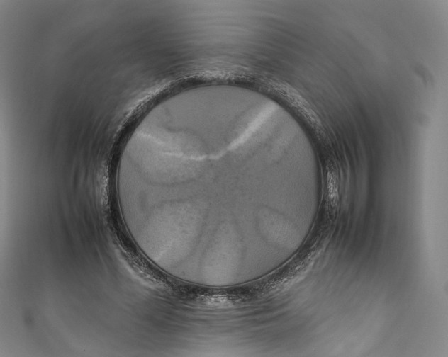 X0000111210588200907221153