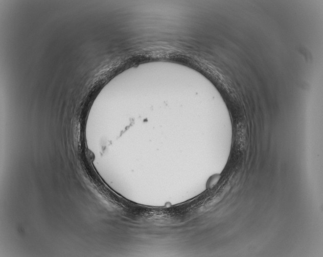 X0000111210589200907221153