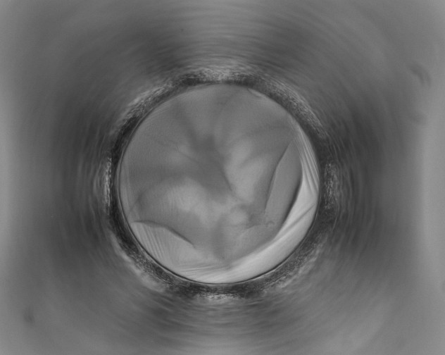 X0000111210590200907221153