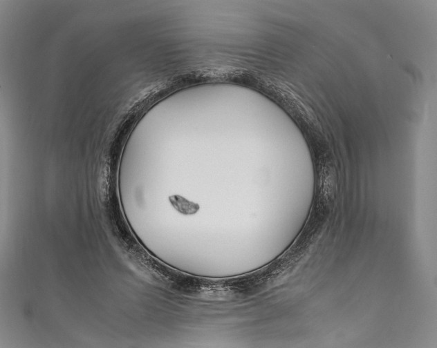 X0000111210591200907221153