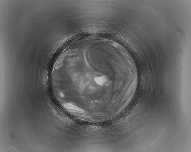 X0000111210592200907221153