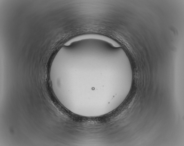 X0000111210593200907221153