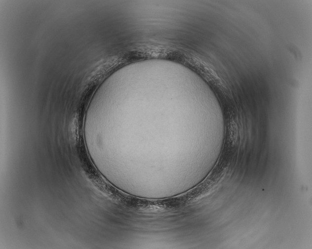 X0000111210594200907221153