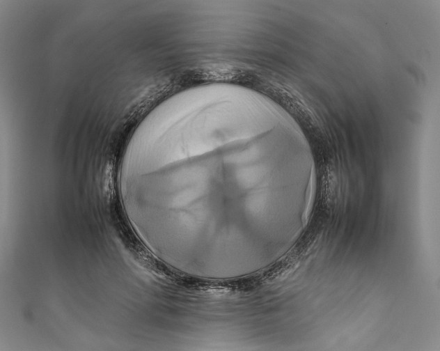 X0000111210598200907221152