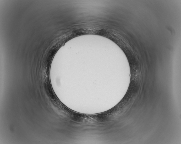 X0000111210599200907221152