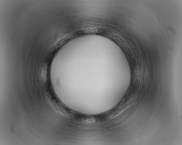 X0000111210600200907221152