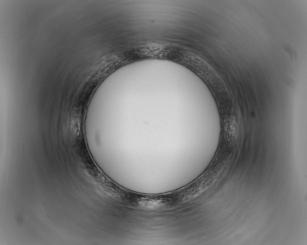 X0000111210602200907221152