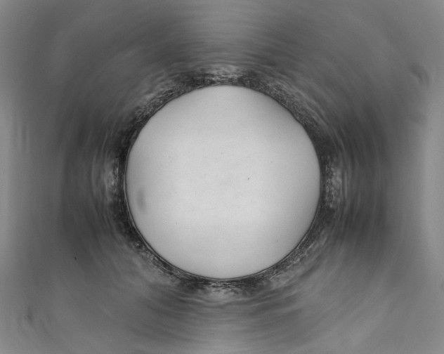 X0000111210608200907221152