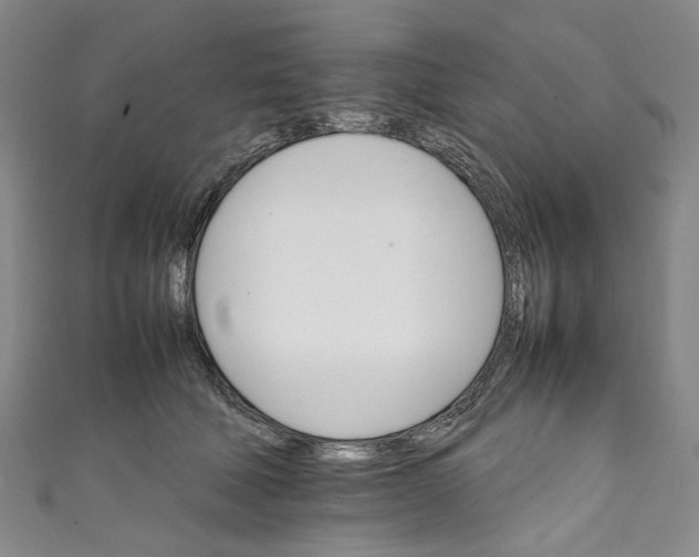 X0000111210610200907221152