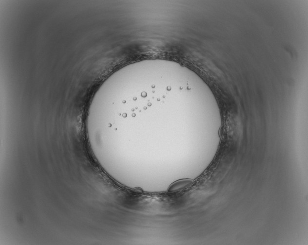 X0000111210611200907221152