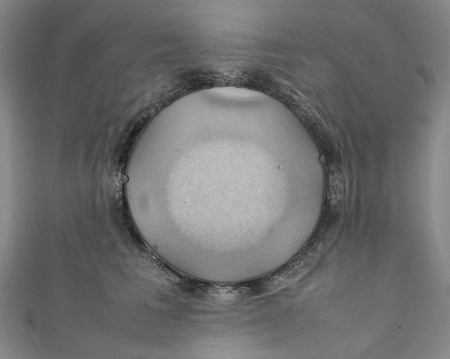 X0000111210613200907221152