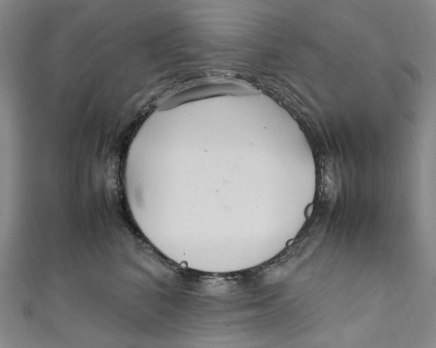 X0000111210616200907221152