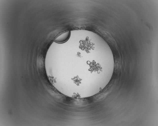 X0000111210623200907221152