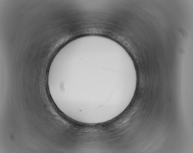 X0000111210625200907221152