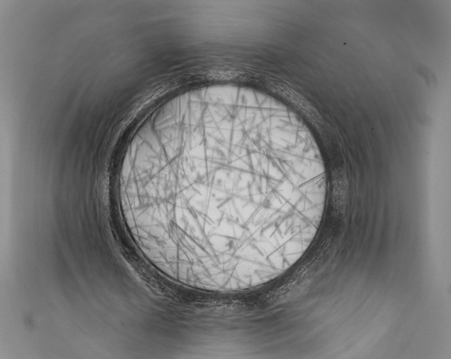 X0000111210626200907221152