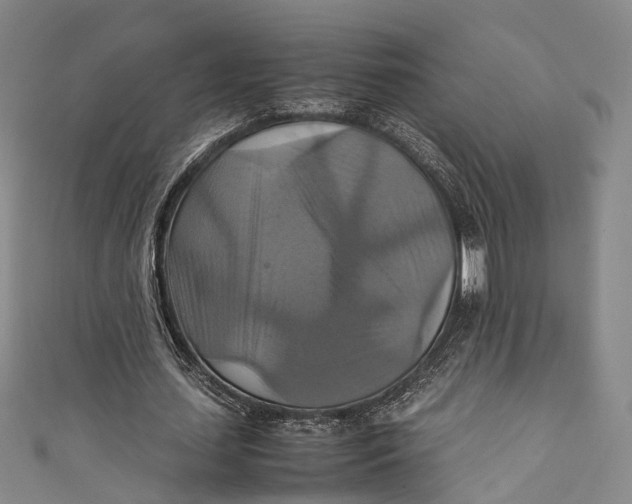 X0000111210627200907221152