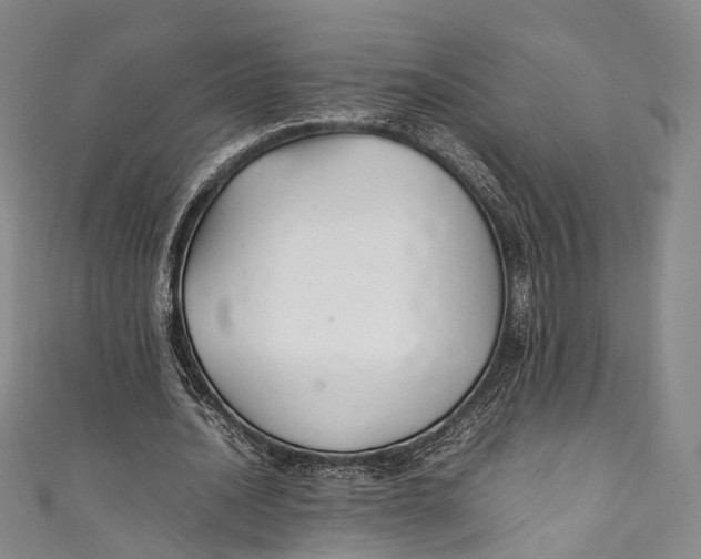 X0000111210628200907221152