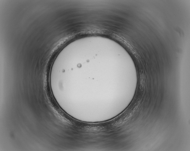 X0000111210629200907221152