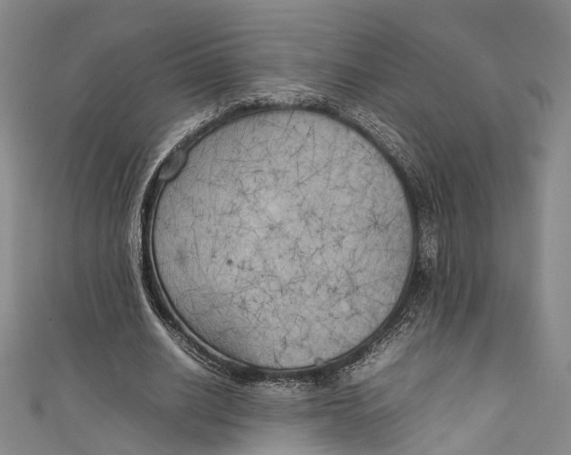 X0000111210630200907221152