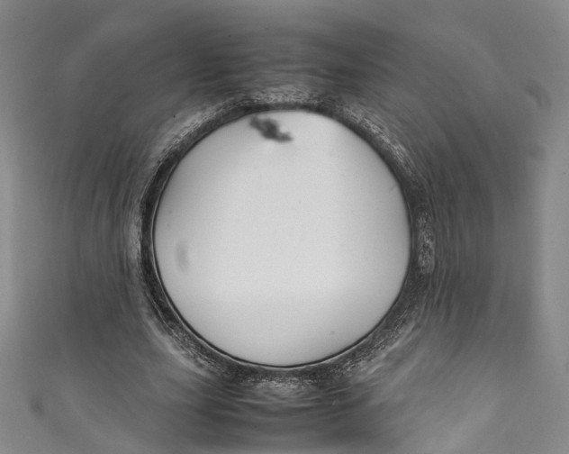 X0000111210631200907221152