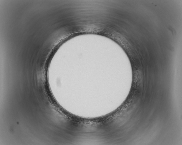 X0000111210632200907221152