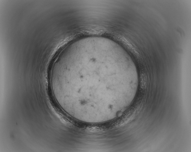 X0000111210634200907221152