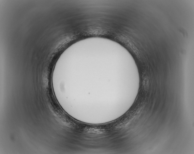 X0000111210635200907221152