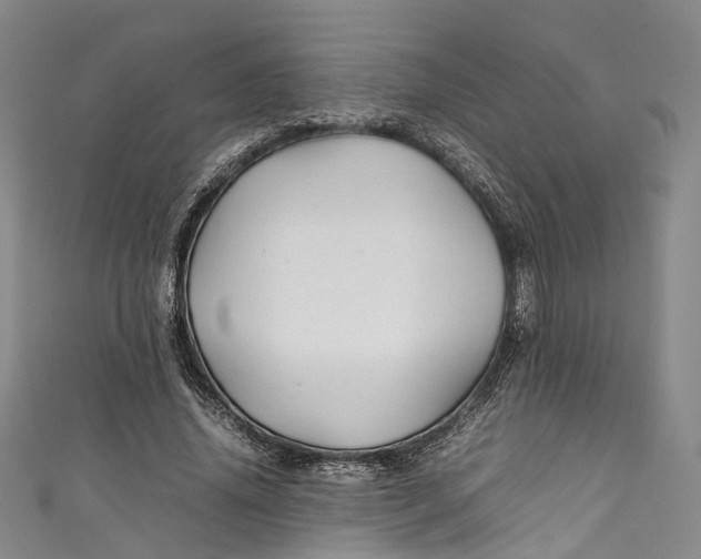 X0000111210636200907221152