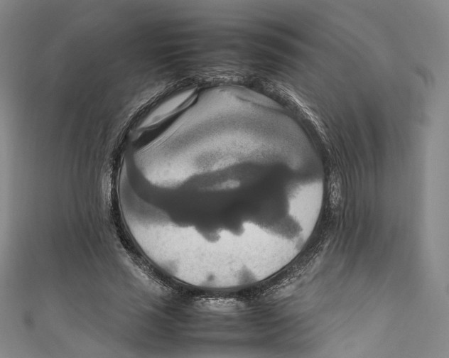 X0000111210637200907221152