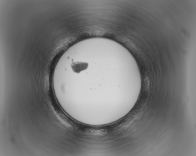 X0000111210638200907221152