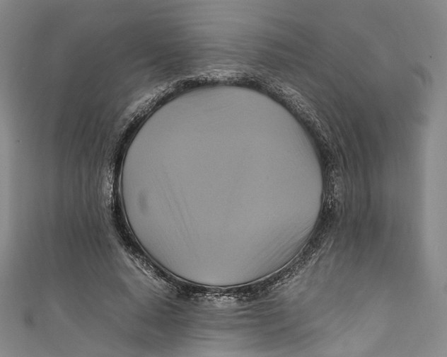 X0000111210640200907221152