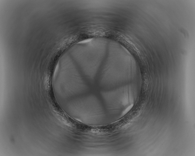 X0000111210641200907221152