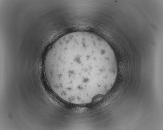 X0000111210642200907221152