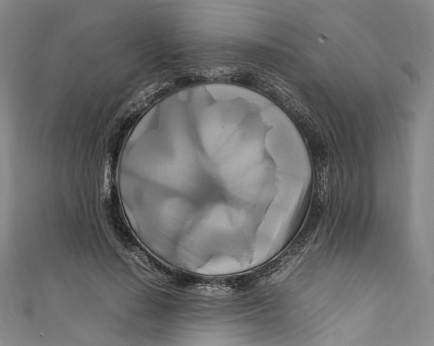 X0000111210644200907221152