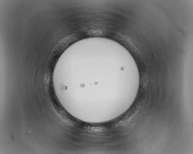 X0000111210645200907221152