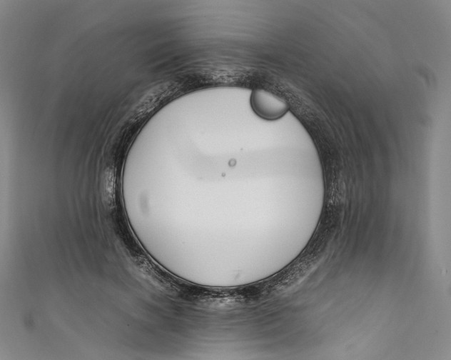 X0000111210646200907221152